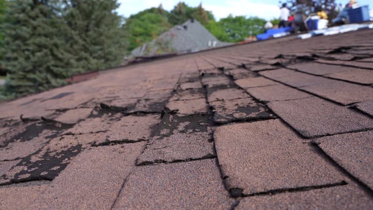 Best Roof Leak Repair  in Atwood, IL